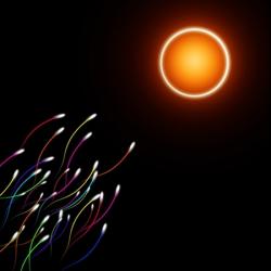 eggs_sperm-process-s250x250