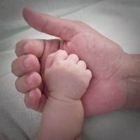 embryo-process-s200x200