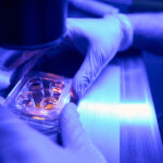 understanding-genetic-testing